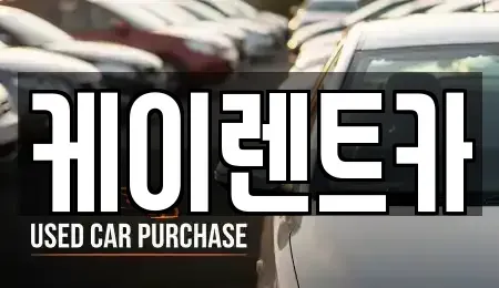 경기 고양시 일산동구 마두동 단기렌트카 전문 케이렌트카