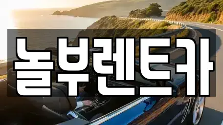 경기 고양시 일산동구 마두동 렌트카 전문 놀부렌트카