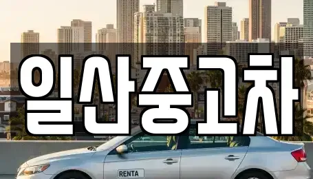 경기 고양시 일산동구 마두동 중고차 전문 일산중고차