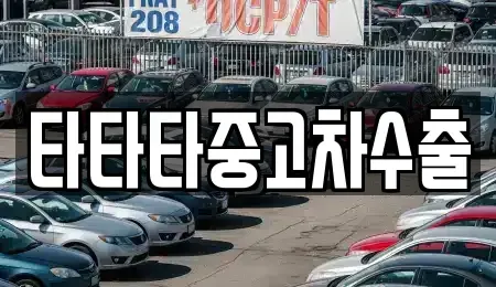 경기 고양시 일산동구 마두동 중고차 전문 타타타중고차수출