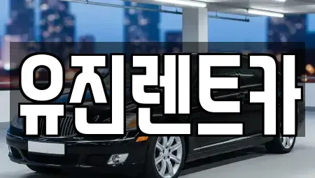 경기 광주시 도척면 렌트카 전문 유진렌트카