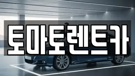 경기 광주시 도척면 렌트카 전문 토마토렌트카
