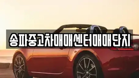 경기 광주시 도척면 중고차매매 전문 송파중고차매매센터매매단지