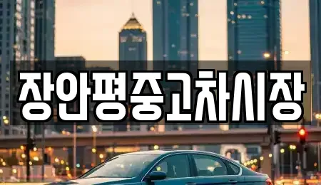 경기 광주시 도척면 중고차매매 전문 장안평중고차시장
