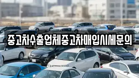 경기 시흥시 조남동 중고차 전문 중고차수출업체중고차매입시세문의
