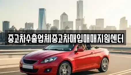 경기 시흥시 조남동 중고차매입 전문 중고차수출업체중고차매입매매지원센터