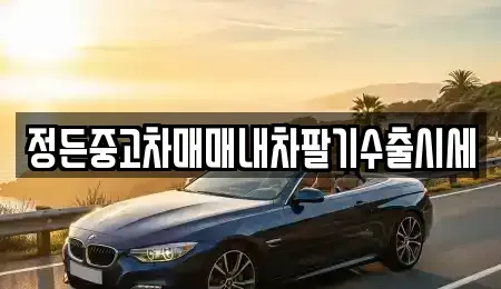 경기 여주시 능현동 중고차 전문 정든중고차매매내차팔기수출시세