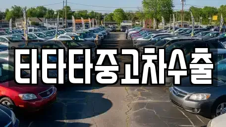 경기 여주시 능현동 중고차 전문 타타타중고차수출