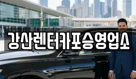 경기 평택시 포승읍 렌트카 전문 강산렌터카포승영업소