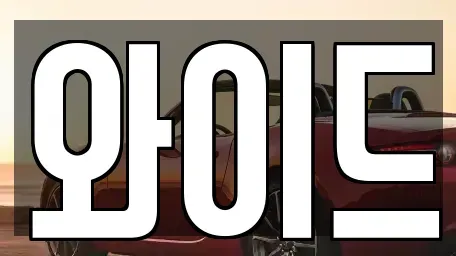 경기 평택시 포승읍 렌트카 전문 와이드