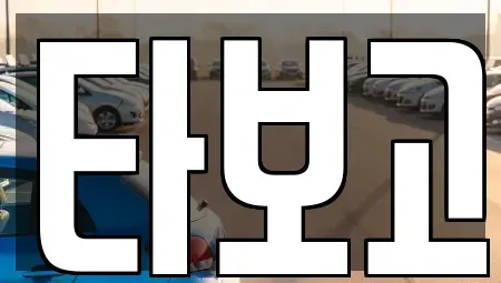 경기 평택시 포승읍 렌트카 전문 타보고