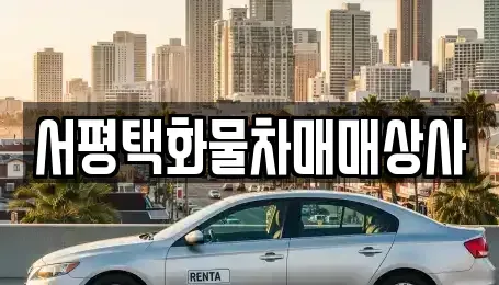 경기 평택시 포승읍 중고차 전문 서평택화물차매매상사