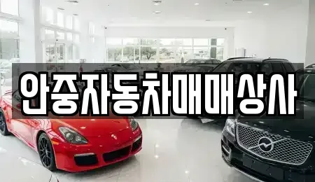 경기 평택시 포승읍 장기렌트카,중고차,렌트카,단기렌트카,중고차매입,중고차매매