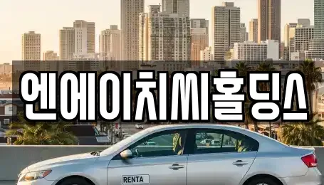 경기 평택시 포승읍 중고차 전문 엔에이치씨홀딩스