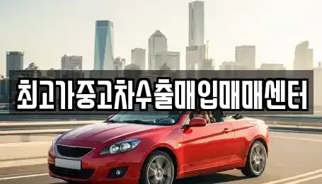 경기 평택시 포승읍 중고차매입 전문 최고가중고차수출매입매매센터