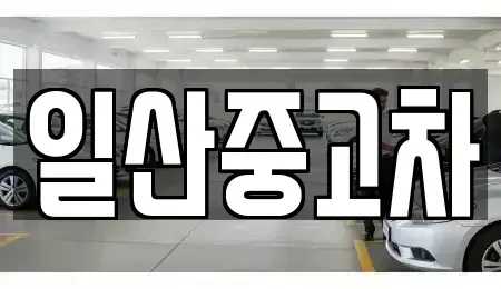 경기도 고양시 덕양구 용두동 중고차 전문 일산중고차