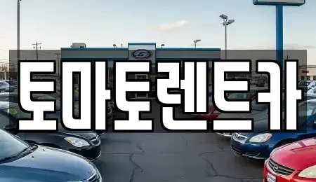 경기도 과천시 렌트카 전문 토마토렌트카