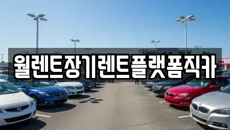 경기도 과천시 장기렌트카 전문 월렌트장기렌트플랫폼직카