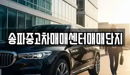 경기도 성남시 수정구 복정동 중고차매매 전문 송파중고차매매센터매매단지