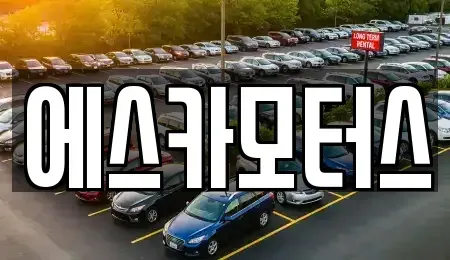 경기도 성남시 수정구 복정동 중고차매매 전문 에스카모터스