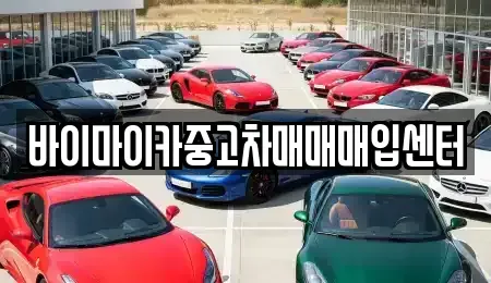 경기도 성남시 수정구 복정동 중고차매입 전문 바이마이카중고차매매매입센터