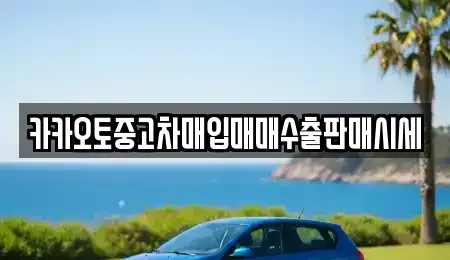 경기도 안성시 서운면 중고차매입 전문 카카오토중고차매입매매수출판매시세