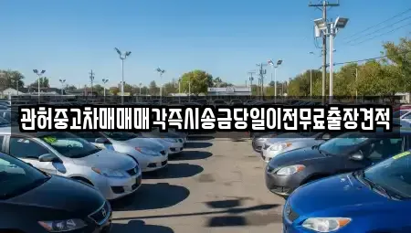 경기도 양주시 남면 중고차 전문 관허중고차매매매각즉시송금당일이전무료출장견적