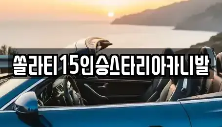 경기도 양평군 용문면 렌트카 전문 쏠라티15인승스타리아카니발