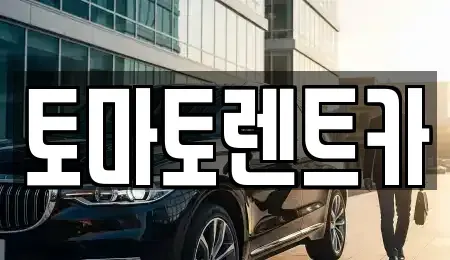 경기도 양평군 용문면 렌트카 전문 토마토렌트카