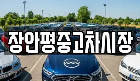 경기도 양평군 용문면 중고차매매 전문 장안평중고차시장