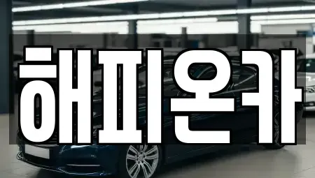 경기도 양평군 용문면 중고차매매 전문 해피온카