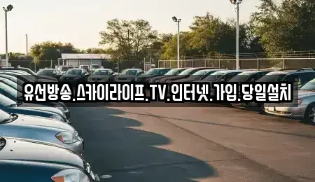 경기도 양평군 용문면 중고차매입 전문 유선방송.스카이라이프.TV.인터넷.가입.당일설치
