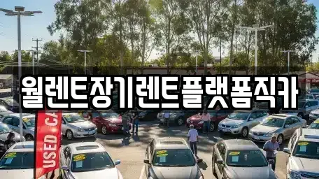 경기도 이천시 백사면 장기렌트카 전문 월렌트장기렌트플랫폼직카