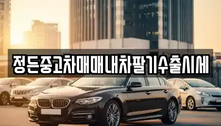 경기도 이천시 백사면 중고차 전문 정든중고차매매내차팔기수출시세