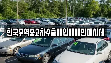 경남 산청군 금서면 중고차매입 전문 한국무역중고차수출매입매매판매시세