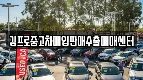 경남 창원시 마산합포구 해운동 중고차 전문 김프로중고차매입판매수출매매센터