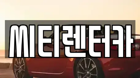 경남 창원시 성산구 남양동 렌트카 전문 씨티렌터카