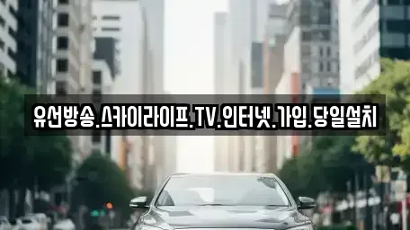 경북 경산시 용성면 중고차 전문 유선방송.스카이라이프.TV.인터넷.가입.당일설치