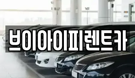 경북 구미시 원평동 렌트카 전문 브이아이피렌트카