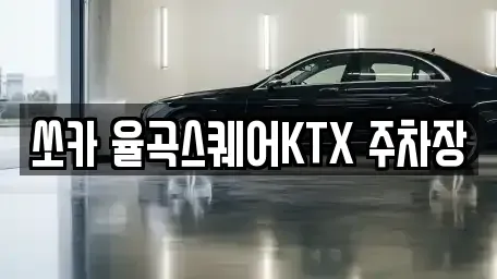 경북 김천시 감천면 렌트카 전문 쏘카 율곡스퀘어KTX 주차장