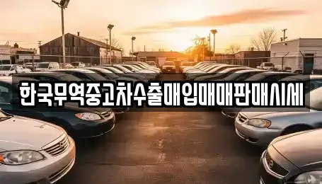 경북 성주군 월항면 장기렌트카,중고차,렌트카,단기렌트카,중고차매입,중고차매매