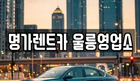 경북 울릉군 울릉읍 렌트카 전문 명가렌트카 울릉영업소