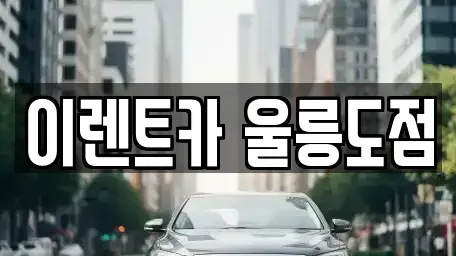 경북 울릉군 울릉읍 렌트카 전문 이렌트카 울릉도점