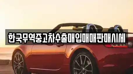 경북 울릉군 울릉읍 중고차 전문 한국무역중고차수출매입매매판매시세