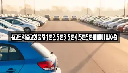 경북 포항시 북구 중앙동 중고차매입 전문 중고트럭중고화물차1톤2.5톤3.5톤4.5톤5톤매매매입수출