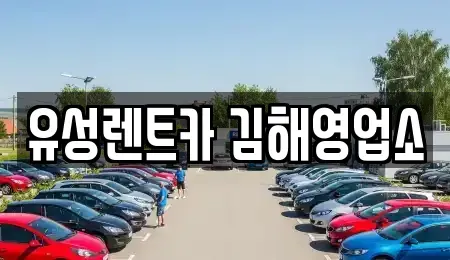 경상남도 김해시 서상동 렌트카 전문 유성렌트카 김해영업소