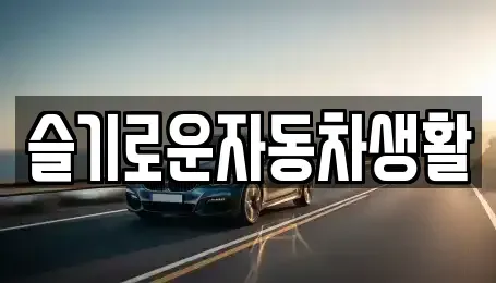 경상남도 김해시 서상동 중고차매매 전문 슬기로운자동차생활