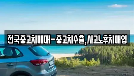 경상남도 김해시 서상동 중고차매입 전문 전국중고차매매-중고차수출,사고노후차매입