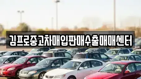 경상남도 창원시 마산합포구 중앙동1가 중고차매입 전문 김프로중고차매입판매수출매매센터