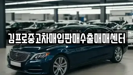 경상남도 창원시 성산구 가음정동 중고차매입 전문 김프로중고차매입판매수출매매센터